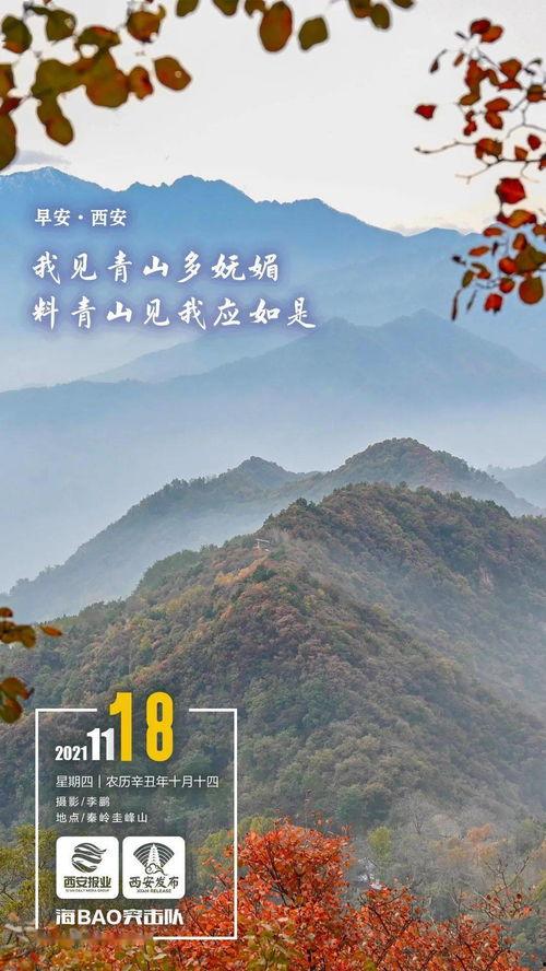 西安早安爆料最新消息,最新动态揭秘，聚焦城市热点事件